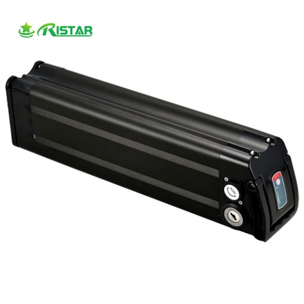 Factory Price 36V 48V Lithium Ion Battery for Electric Bike