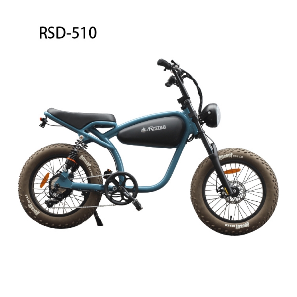 Fat Tire 20inch retro EBIKE RSD-510