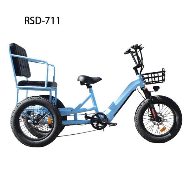 Fat Tire 3 Wheel 750W 48V Passenger Adult Electric Trike with Rear Seat RSD-711